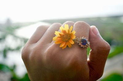 Close-up of hand holding flower