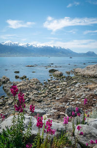 Scenic view of sea against cloudy sky