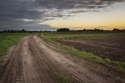 Traces of wheels on a sandy road, fields and evening clouds