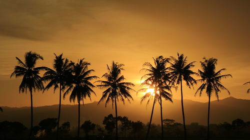 Silhouette palm trees against romantic sky at sunset