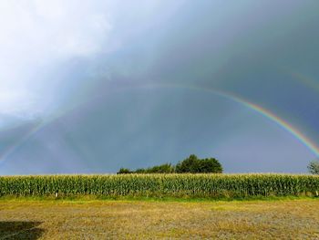 Scenic view of field against rainbow in sky