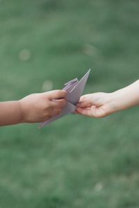 Close-up of hand holding leaf against blurred background