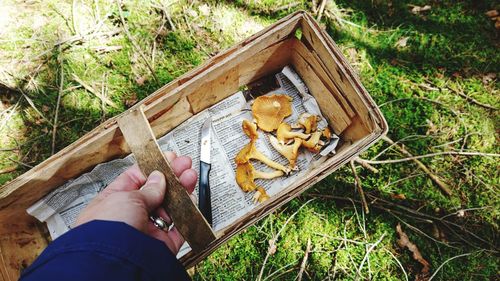 High angle view of hand holding food on field