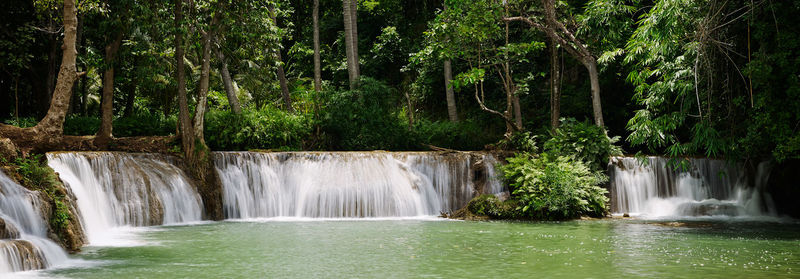 Waterfall in forest