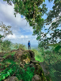 Rear view of man and plants against sky