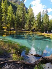 Scenic view of lake in forest against sky