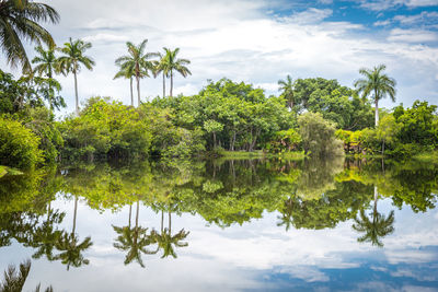 Reflection of trees in lake against sky