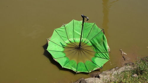 High angle view of leaf floating on lake