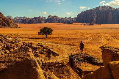 Rear view of man standing on rock against landscape