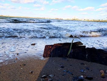 Scenic view of beach against sky