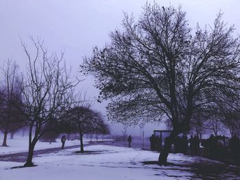 Bare trees on snow covered landscape