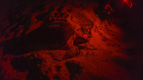 High angle view of rock formation on land