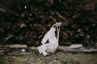 Stack of logs in forest