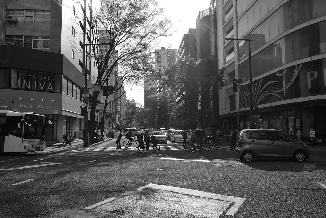 CITY STREET AND BUILDINGS