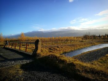 Scenic view of field against sky