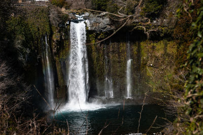 Scenic view of waterfall in forest