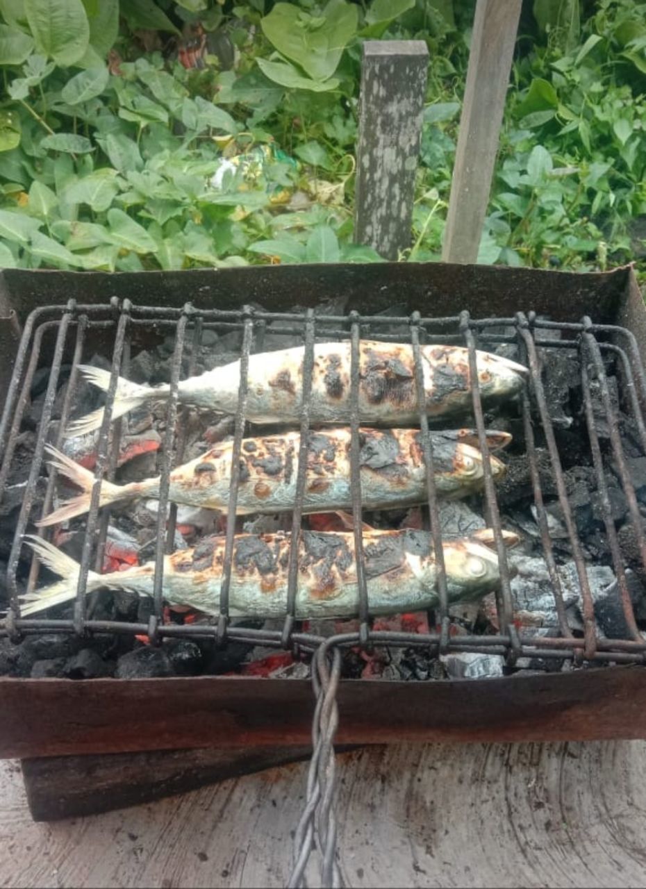 HIGH ANGLE VIEW OF FISH ON BARBECUE