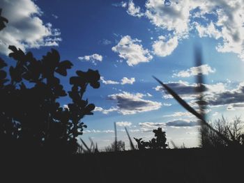 Low angle view of silhouette trees on field against sky