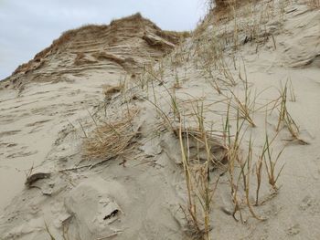 sand