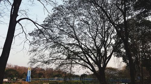 Bare trees on field against sky