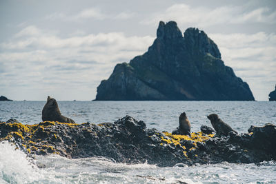 Scenic view of sea against sky