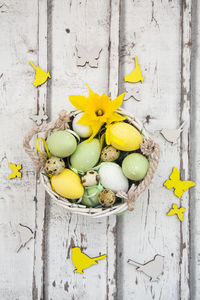 Directly above shot of yellow flowering plant on table