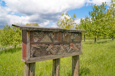 Close-up of bees on field against sky