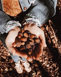 High angle view of hand holding bread on field