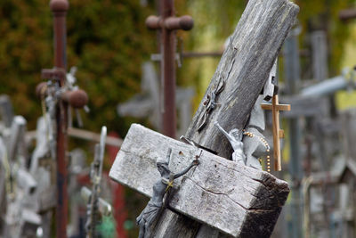 Close-up of padlocks on railing