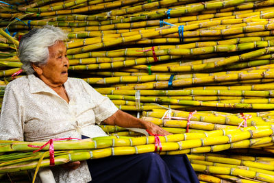 Senior woman looking away while sitting with sugar canes bunch