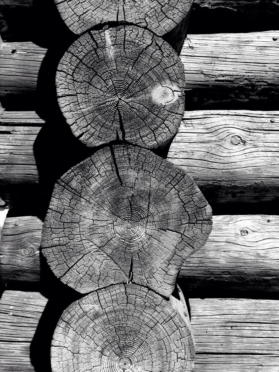 wood - material, shadow, wooden, sunlight, water, outdoors, nature, day, close-up, focus on foreground, textured, wood, high angle view, steps, tree, no people, park - man made space, pattern, stone material, tree trunk