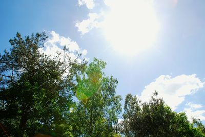 Low angle view of trees against cloudy sky