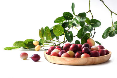 Close-up of fruits against white background