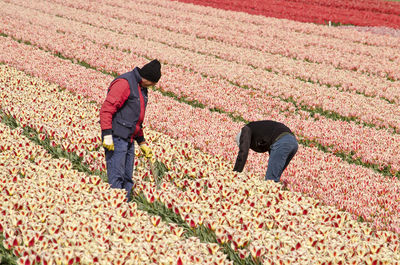 People walking on field during autumn