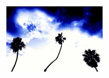 Low angle view of palm trees against cloudy sky