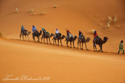 Group of people riding on desert