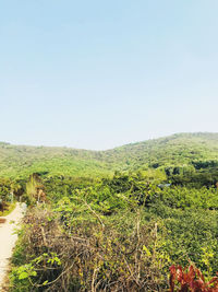 Scenic view of landscape against clear sky