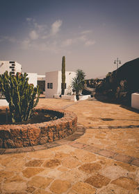 Palm trees and buildings against sky