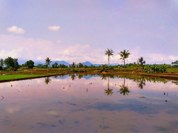 Scenic view of lake against sky