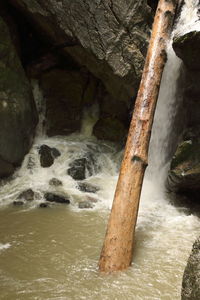 Scenic view of waterfall in forest