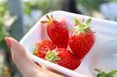 Close-up of strawberries in plate on table