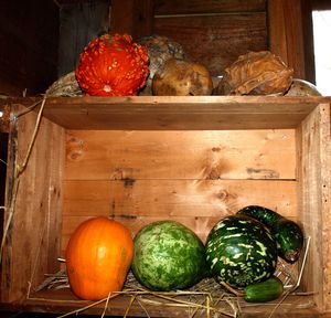 Close-up of food in shelf