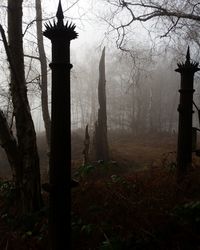 Silhouette trees in forest against sky