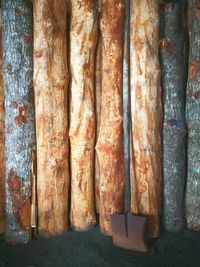 Close-up of bread