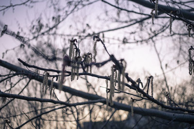 winter