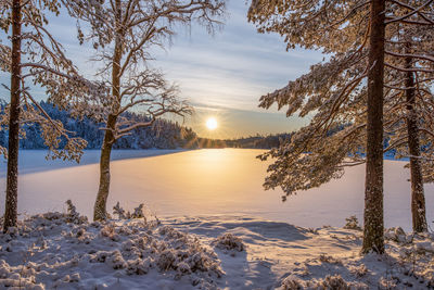 Winter by the lake in the wilderness