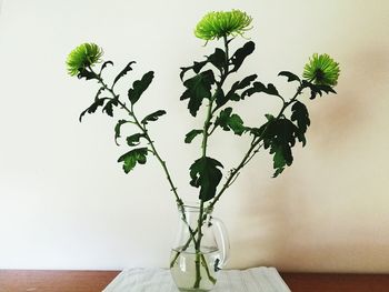 Close-up of vase on table at home