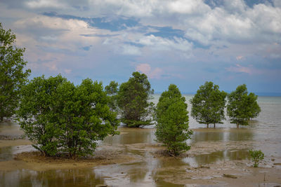 Scenic view of lake against sky