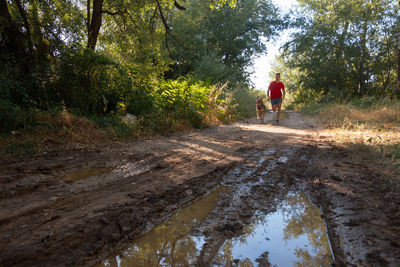 Rear view of man riding bicycle in forest