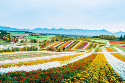 Scenic view of field and mountains against sky